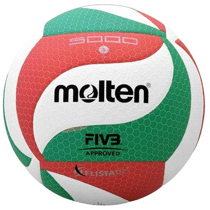 Molten Volleyball Syn. Leather #5